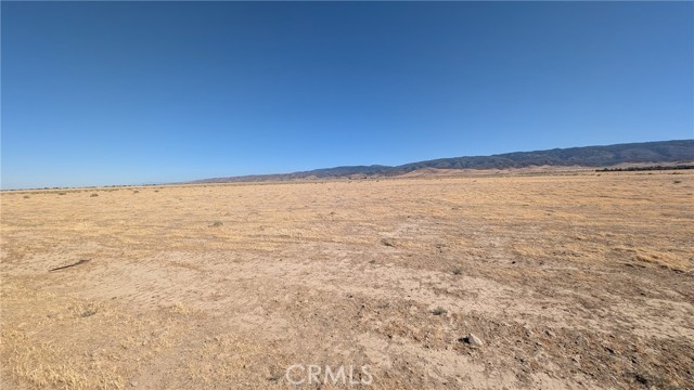 MLS #SR25169426 image #15