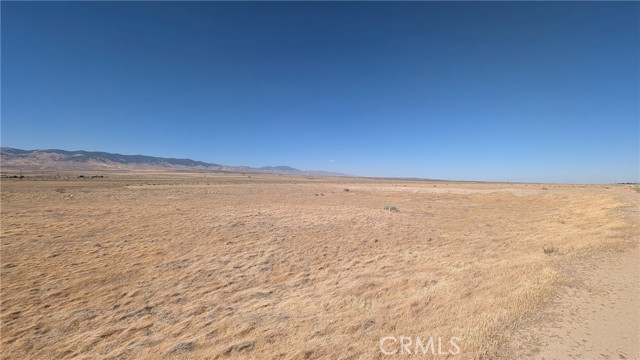 MLS #SR25169426 image #3