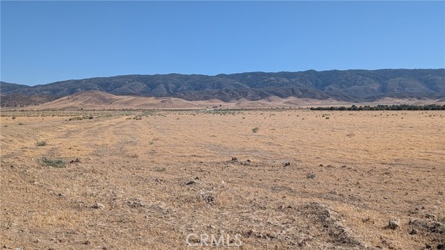 MLS #SR25169426 image #34