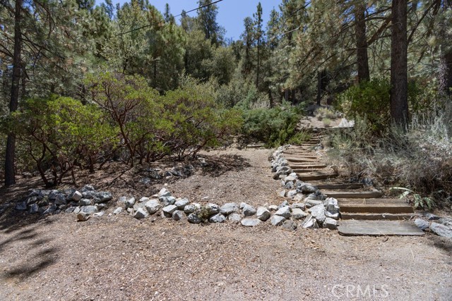 MLS #SR25169782 image #19