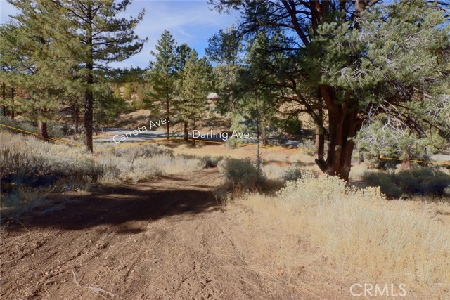 MLS #SR25170012 image #7