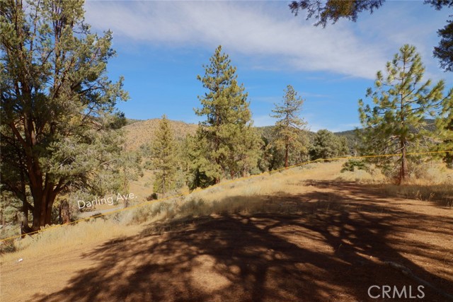 MLS #SR25170012 image #8