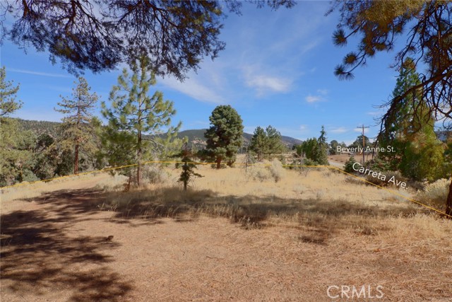 MLS #SR25170012 image #9