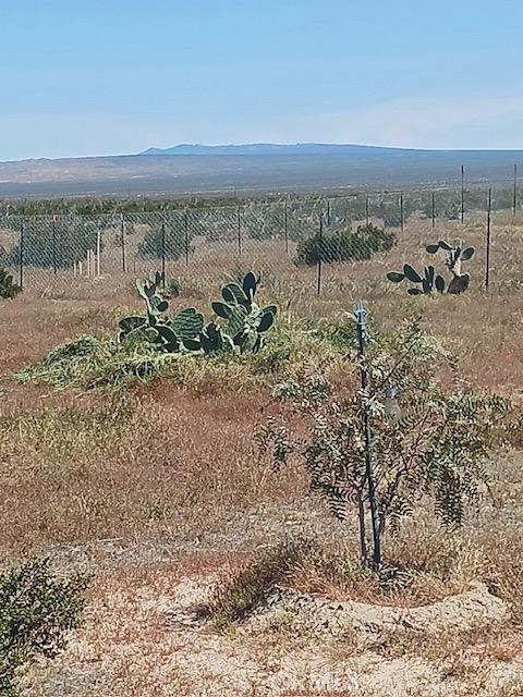 MLS #SR25170114 image #4