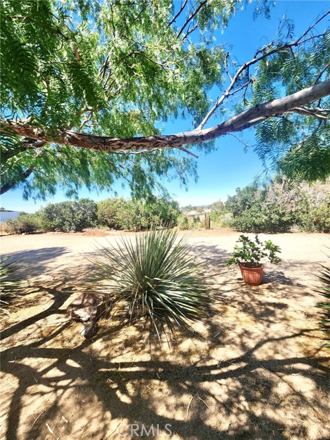 MLS #SR25171248 image #4