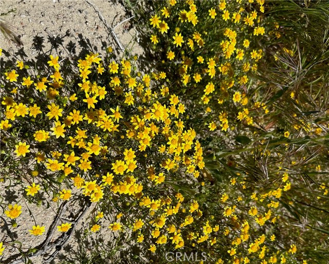 MLS #SR25172175 image #3