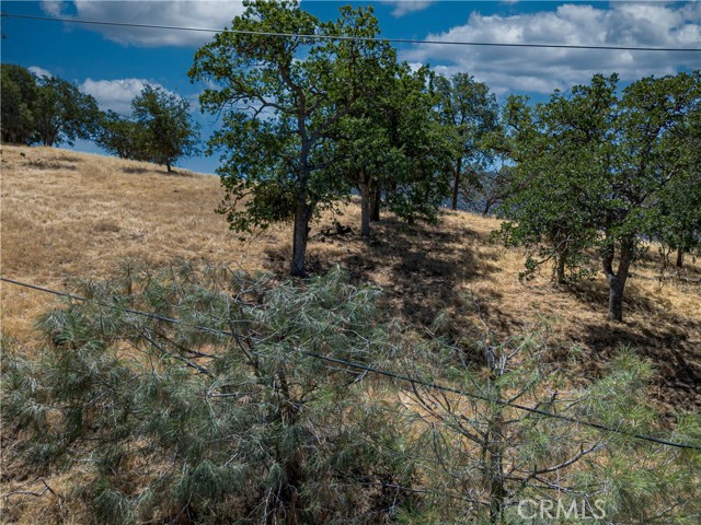 MLS #SR25172825 image #15