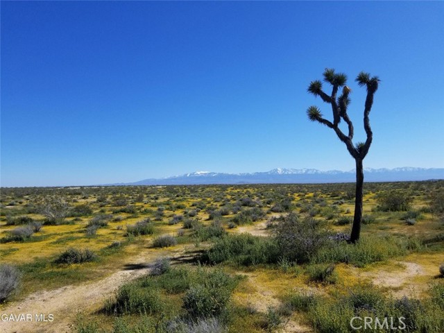 MLS #SR25173573 image #6