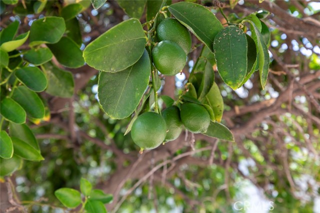 MLS #SR25174634 image #34