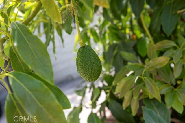 MLS #SR25174634 image #36