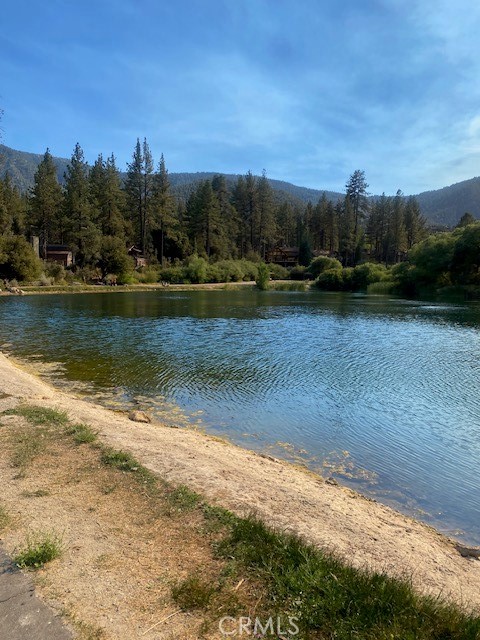 MLS #SR25174921 image #18