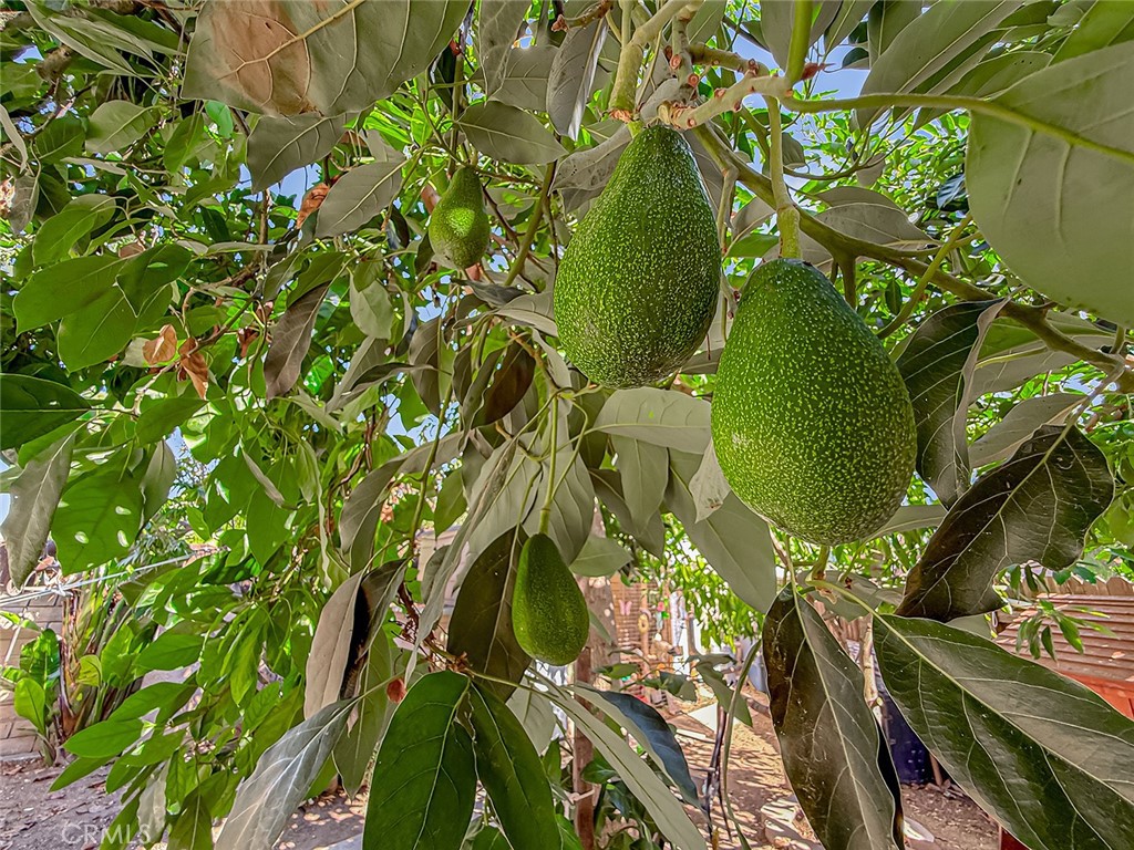 MLS #SR25175323 image #48