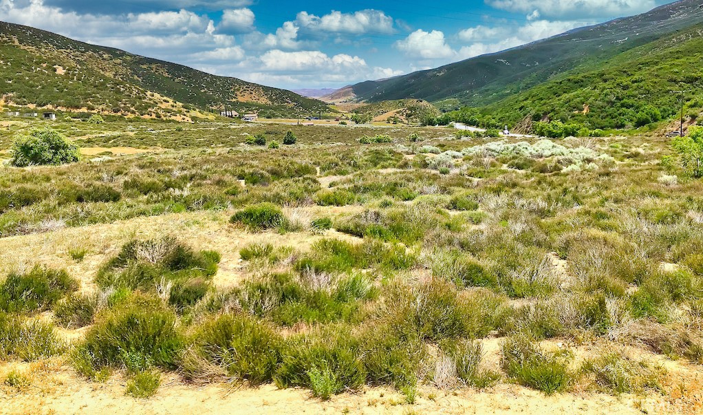 MLS #SR25175538 image #5