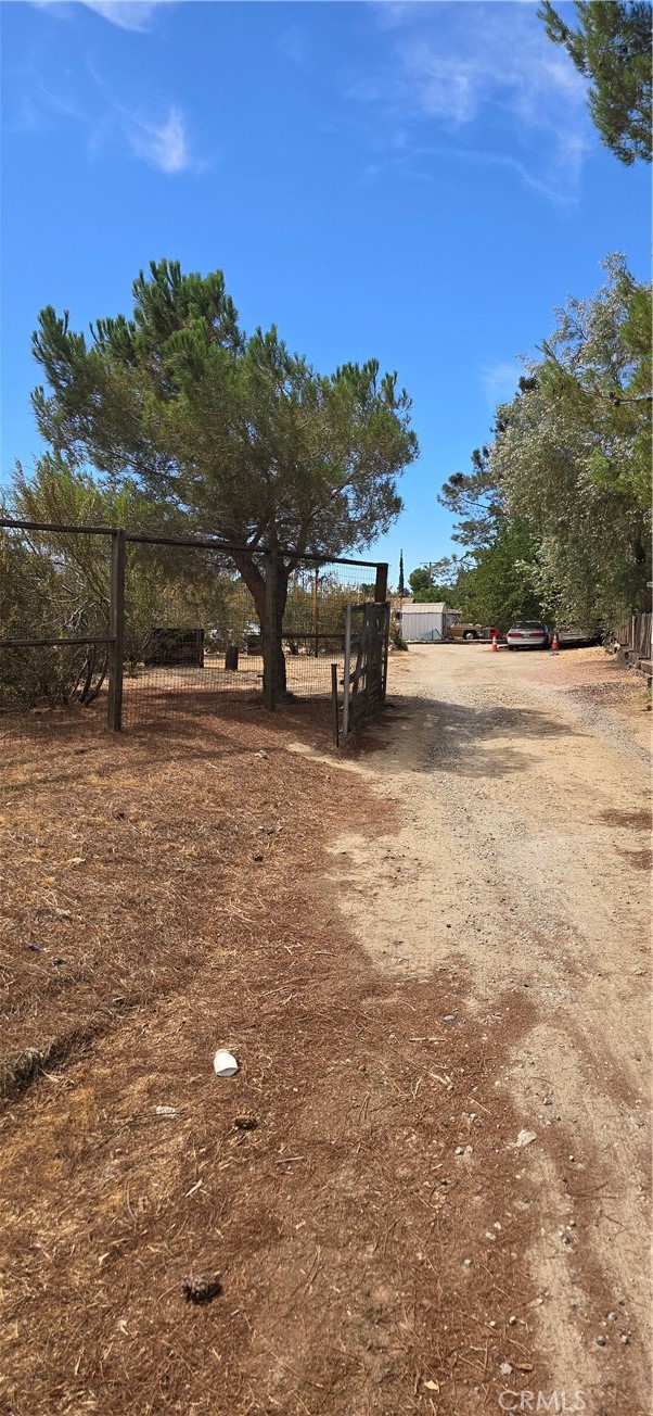 MLS #SR25177689 image #7