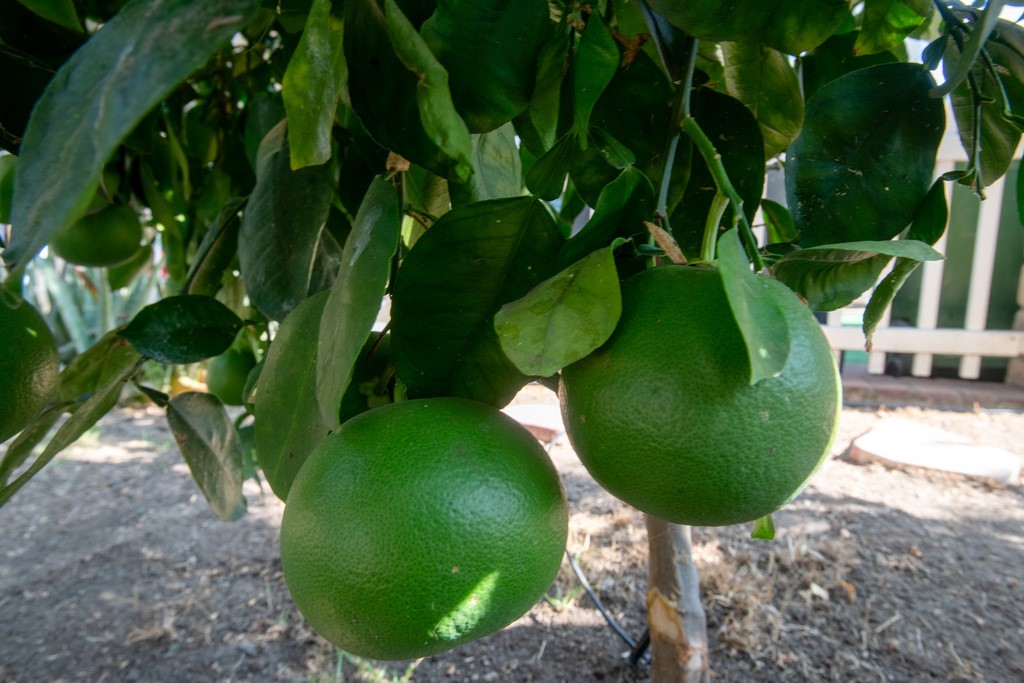 MLS #SR25178563 image #13