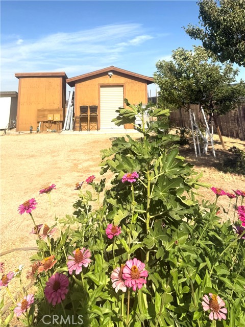 MLS #SR25179262 image #34