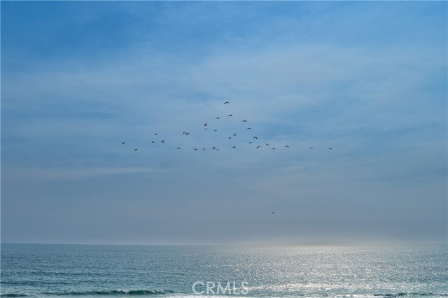 MLS #SR25180104 image #42