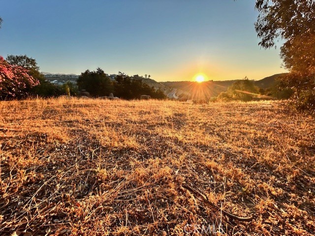 MLS #SR25180413 image #2