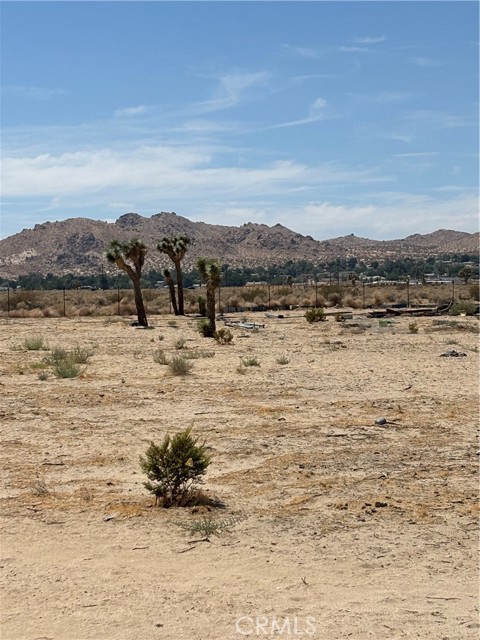 MLS #SR25180833 image #7