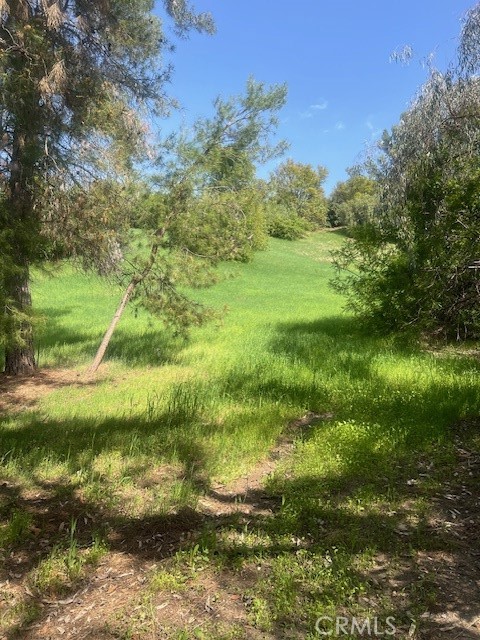 MLS #SR25181001 image #3