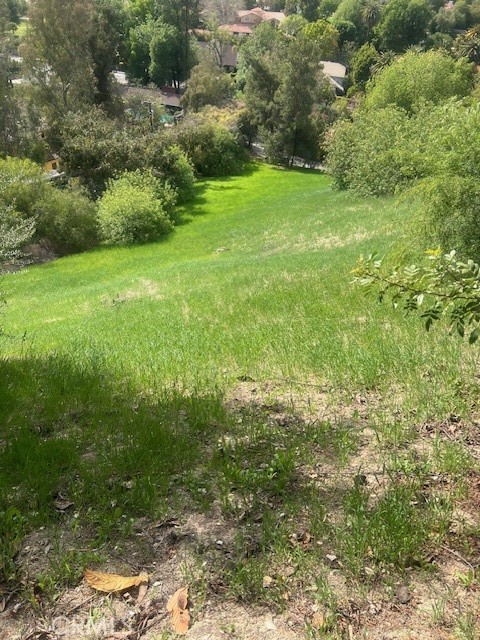 MLS #SR25181001 image #4