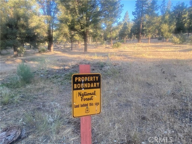 MLS #SR25182228 image #11