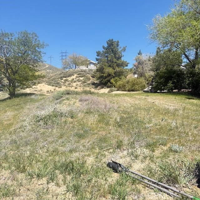 MLS #SR25182361 image #4