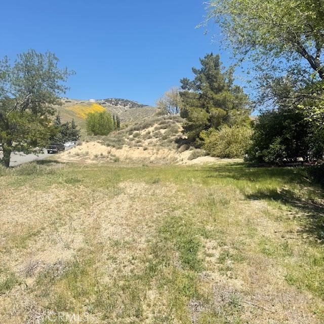 MLS #SR25182361 image #6