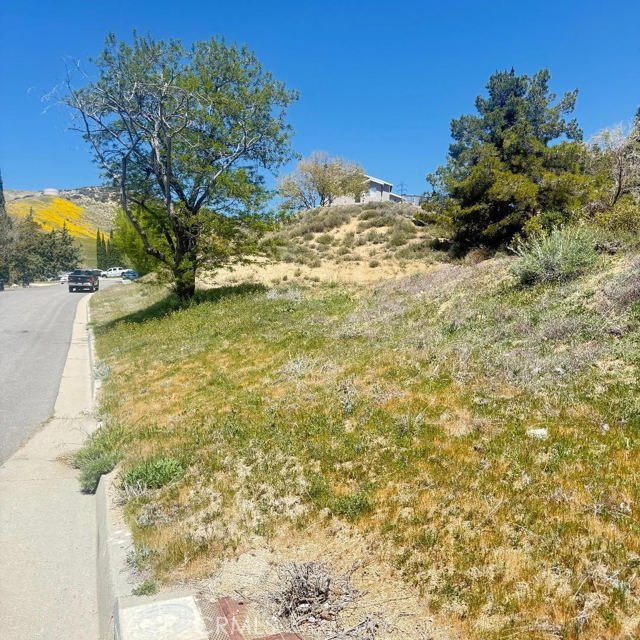 MLS #SR25182361 image #9