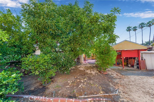 MLS #SR25183261 image #12