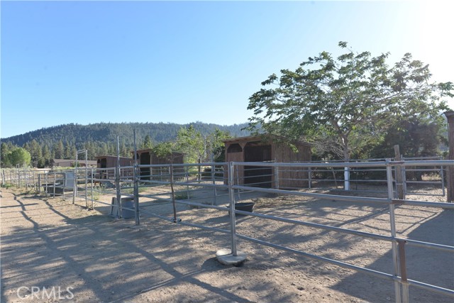MLS #SR25184537 image #4