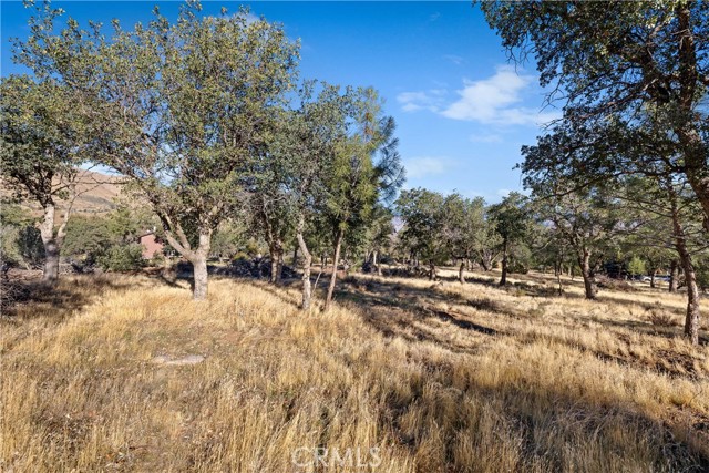 MLS #SR25184991 image #35