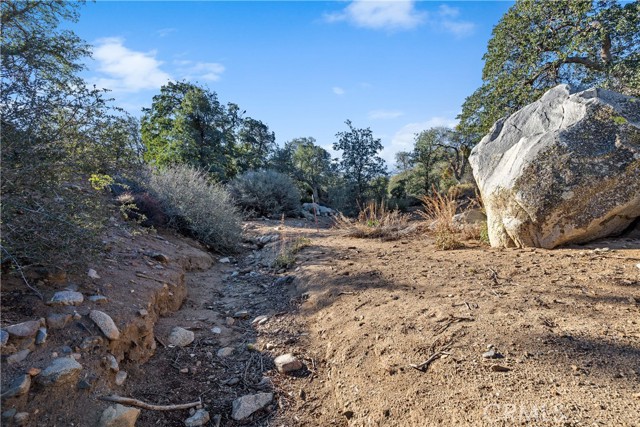 MLS #SR25184991 image #37