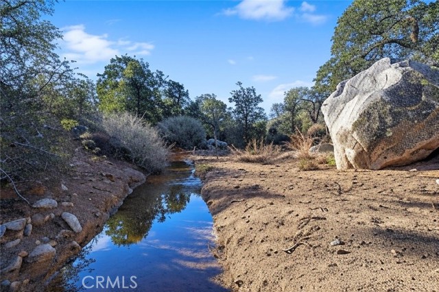 MLS #SR25184991 image #43