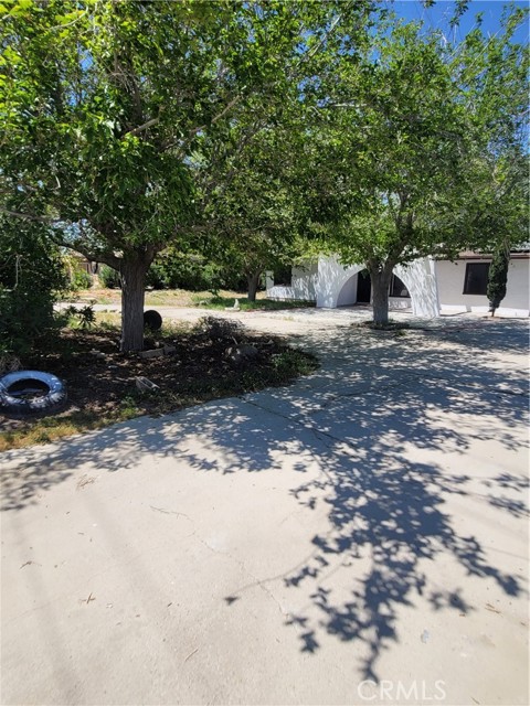 MLS #SR25185421 image #4