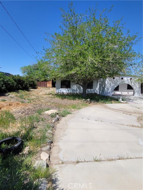 MLS #SR25185421 image #6