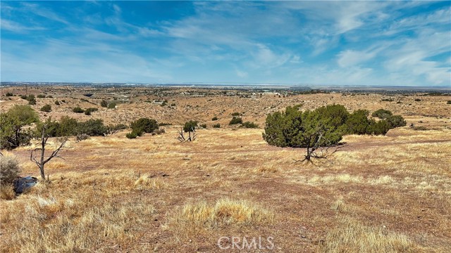 MLS #SR25185966 image #5