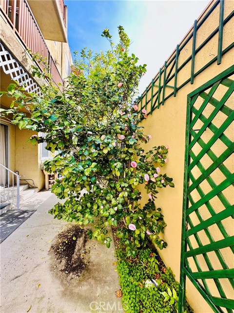 MLS #SR25186867 image #40