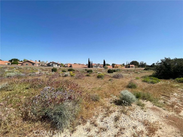 MLS #SR25188226 image #6