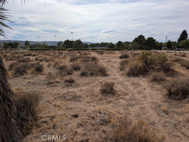 MLS #SR25190371 image #0