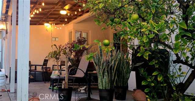 MLS #SR25190396 image #4