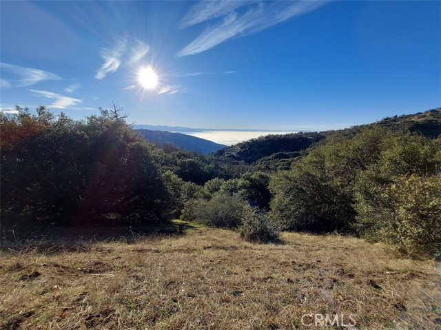 MLS #SR25191227 image #43
