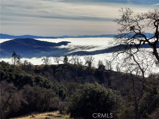 MLS #SR25191227 image #46