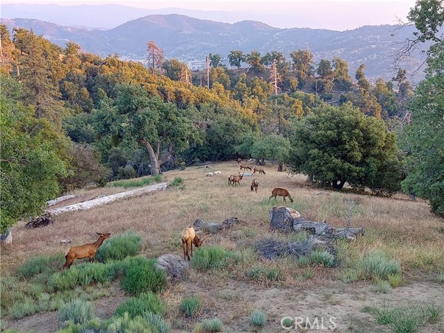 MLS #SR25191227 image #47