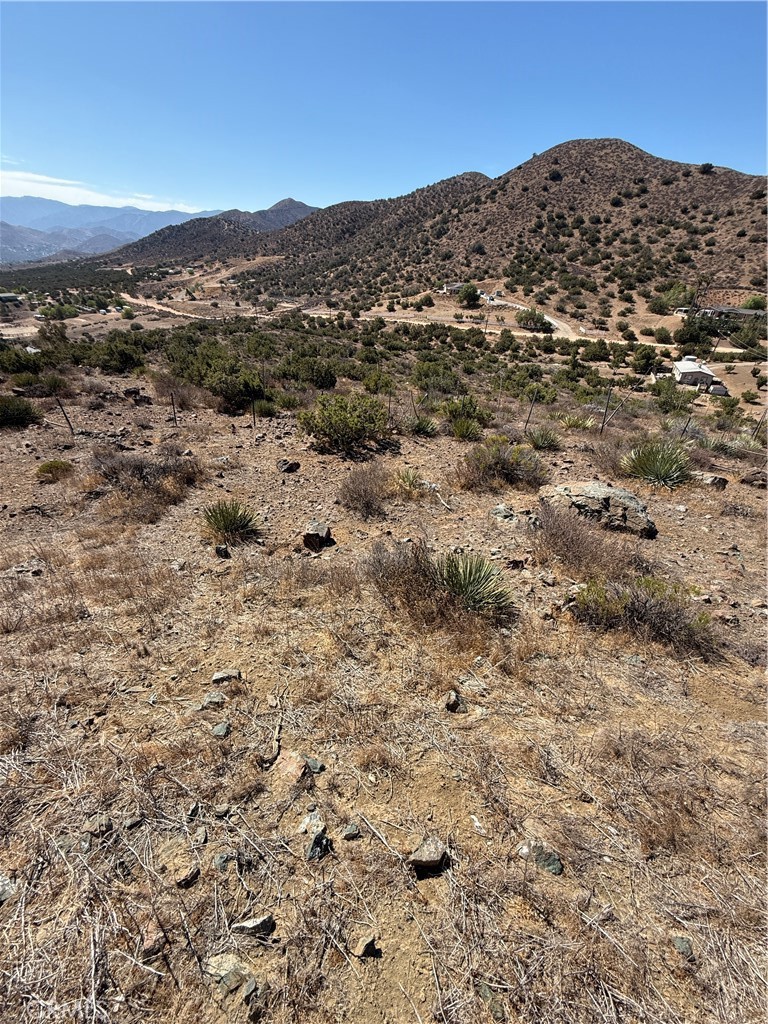 MLS #SR25191327 image #12