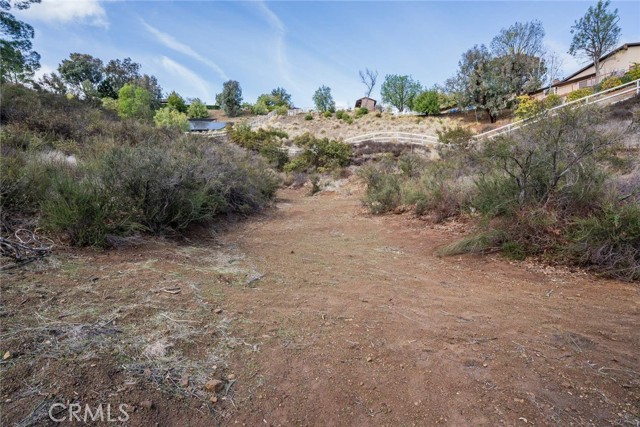 MLS #SR25191422 image #5
