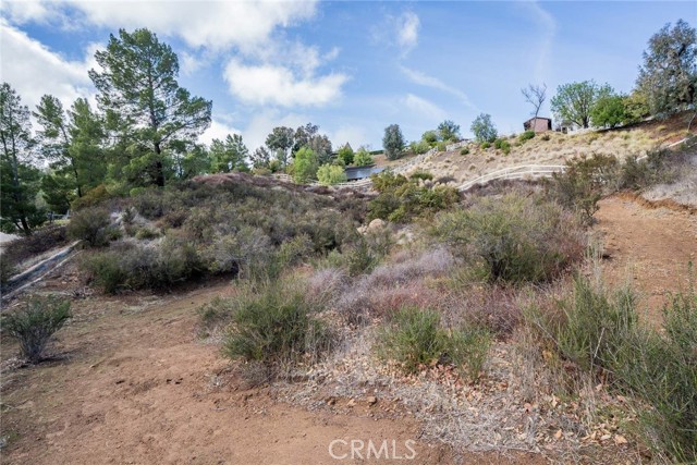 MLS #SR25191422 image #6