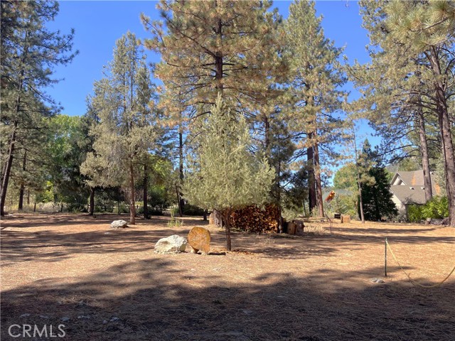 MLS #SR25192605 image #1