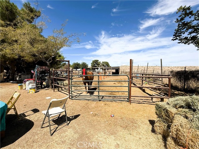 MLS #SR25192749 image #12