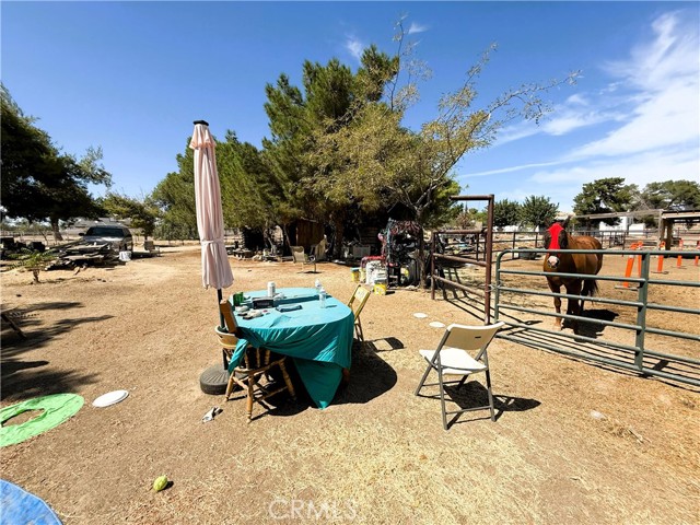 MLS #SR25192749 image #13